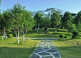 &#108;&#101;&#121;&#117;